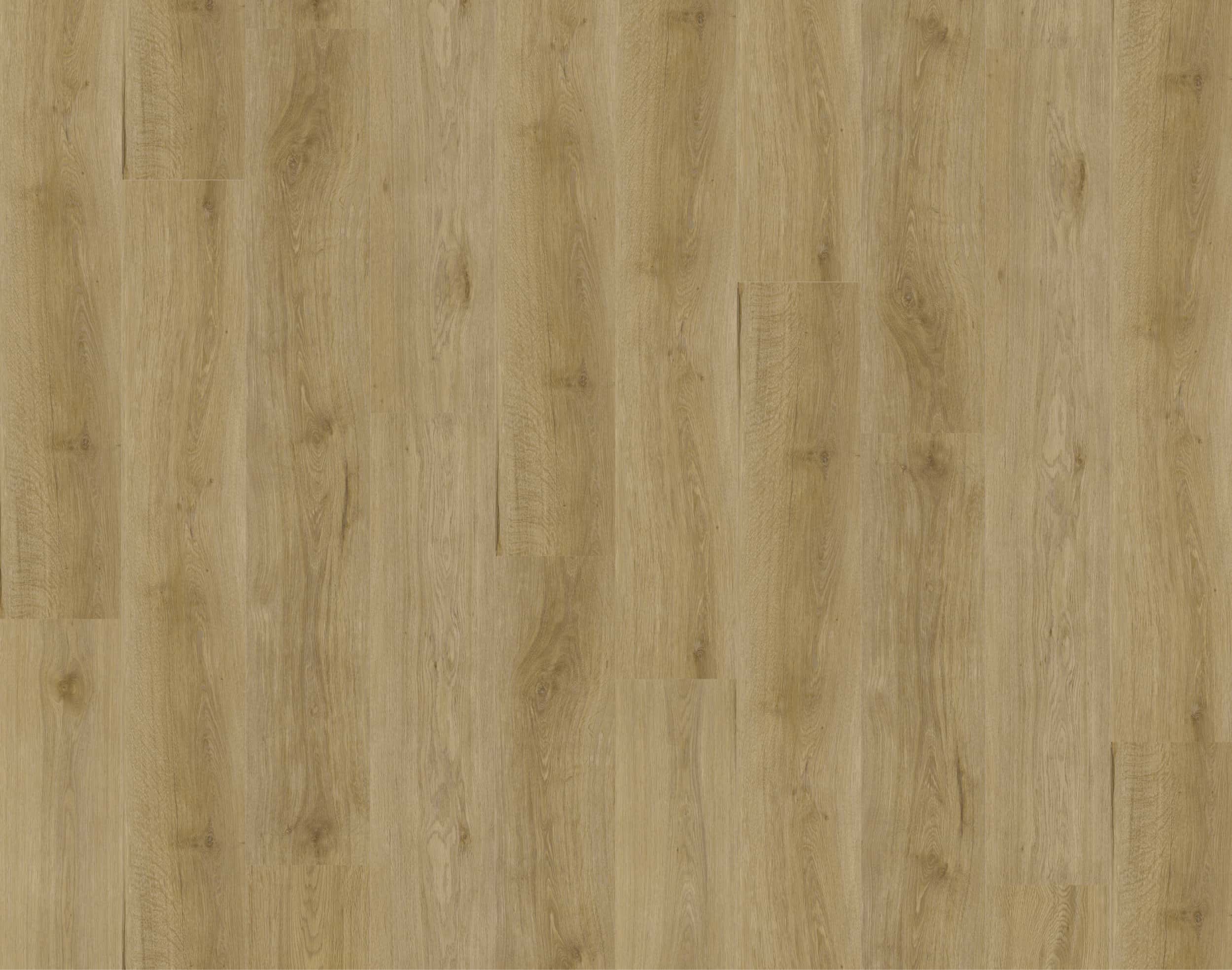 Rigid-Vinyl Eiche Park Thumbnail 1
