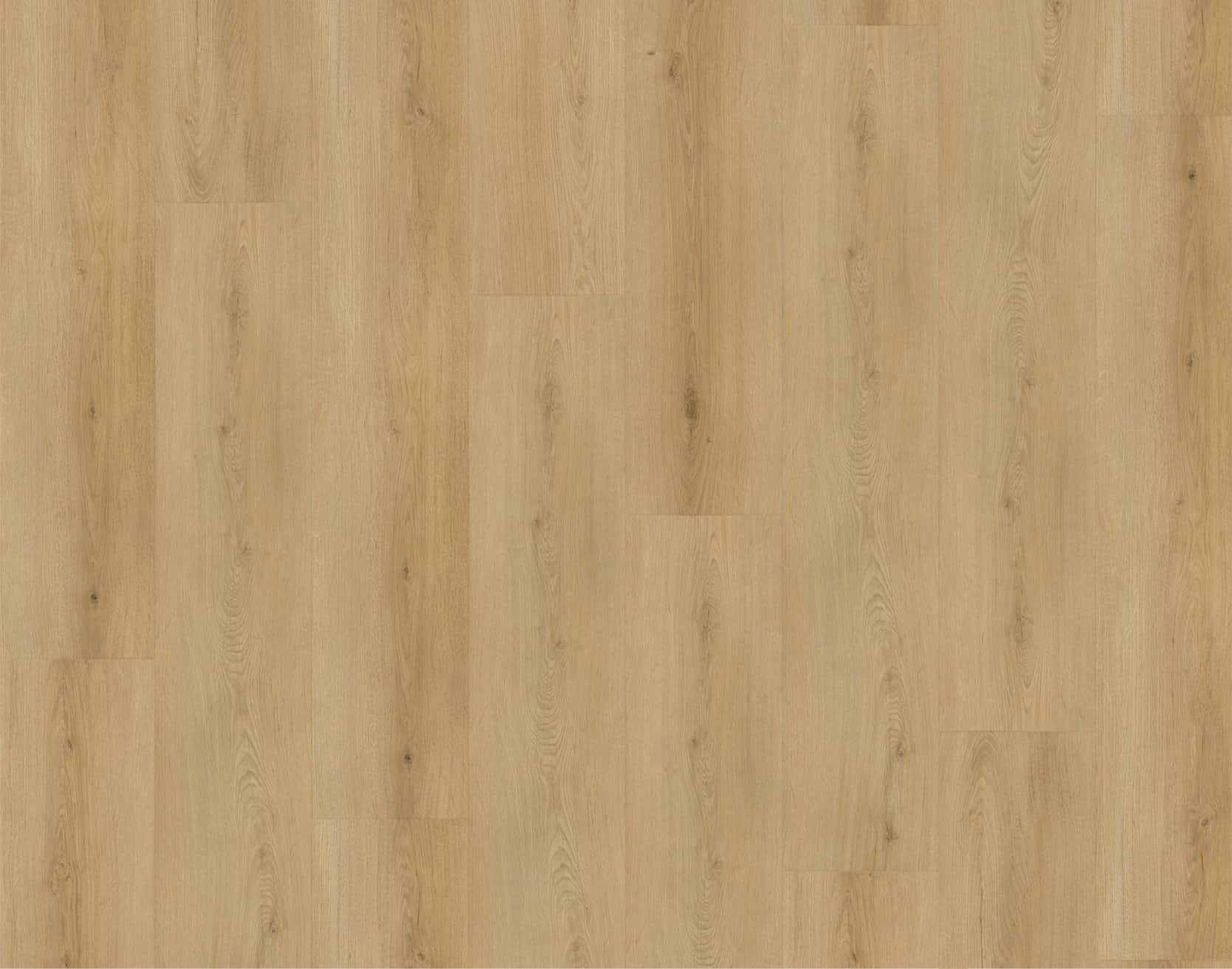 Rigid-Vinyl Eiche Dornick Thumbnail 1