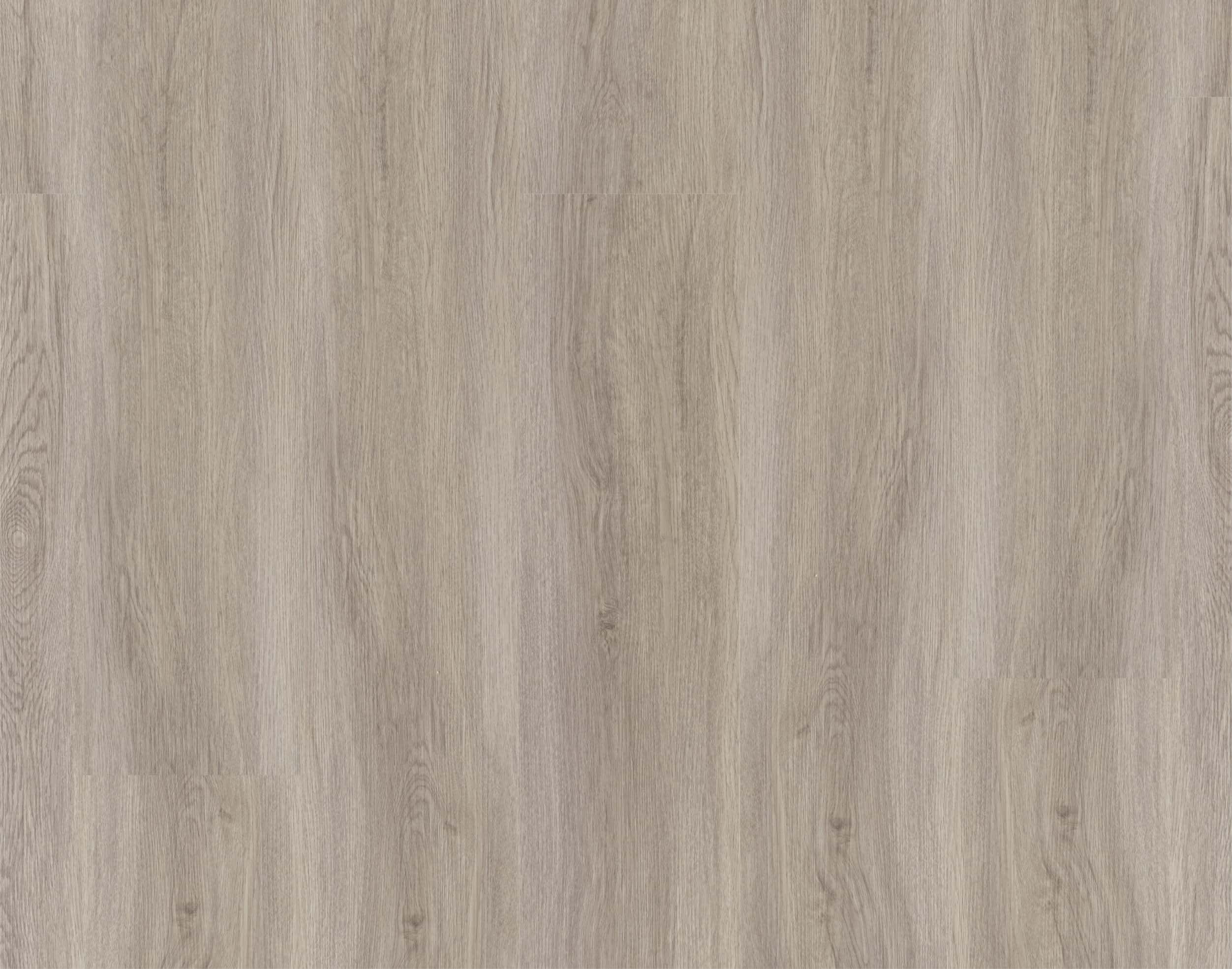 Rigid-Vinyl Harmony Oak Silver Thumbnail 1