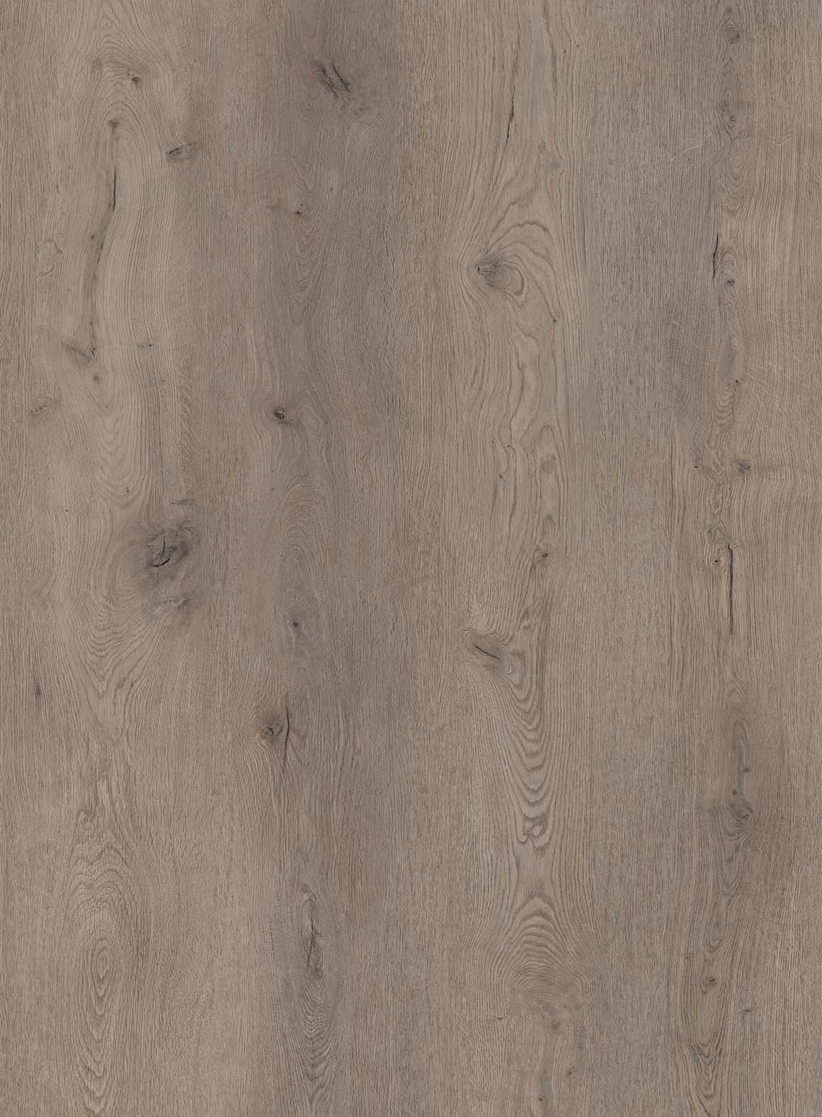 MUSTER Rigid-Vinyl COREtec Belvoir