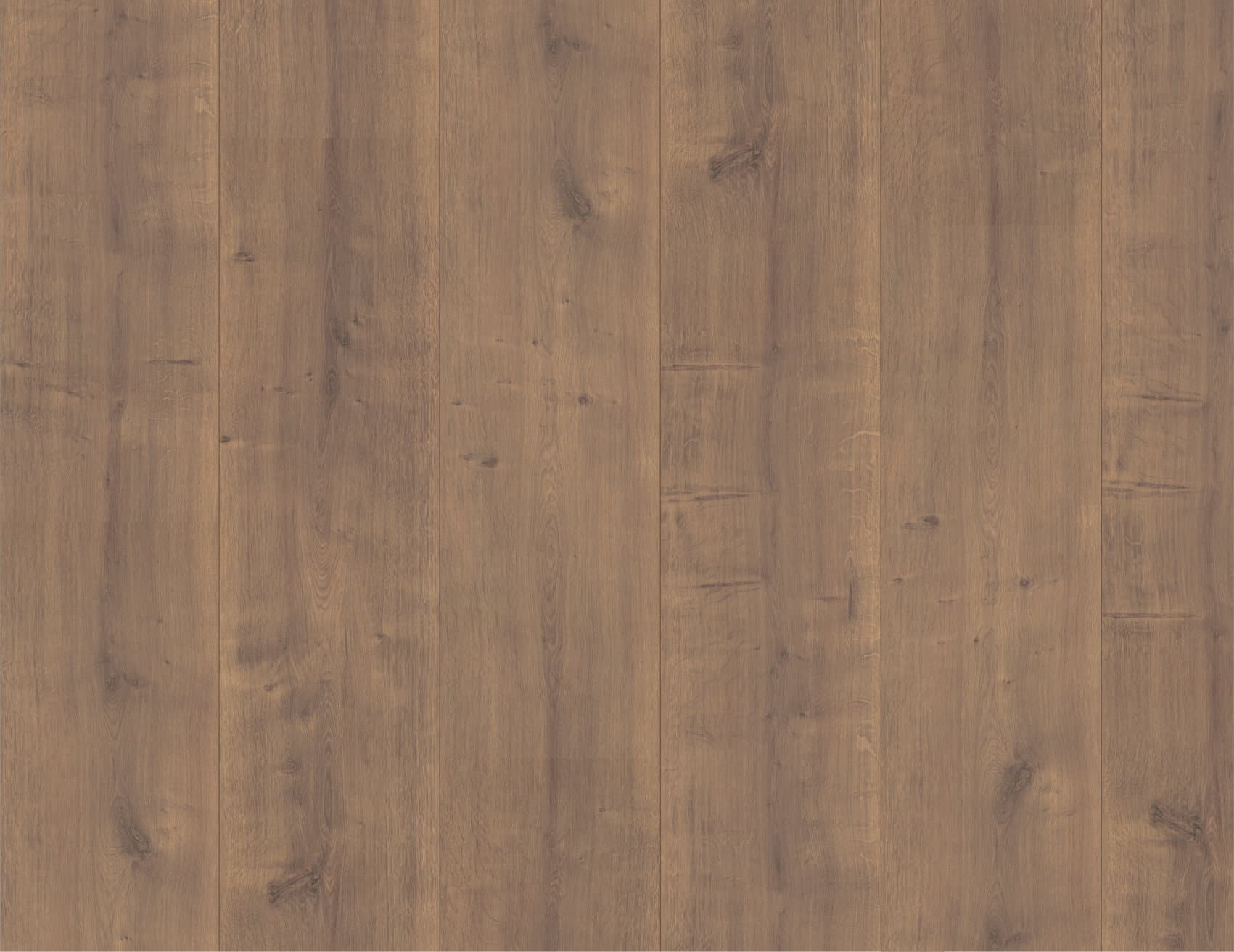 MUSTER Laminat Hamilton Eiche Dunkel