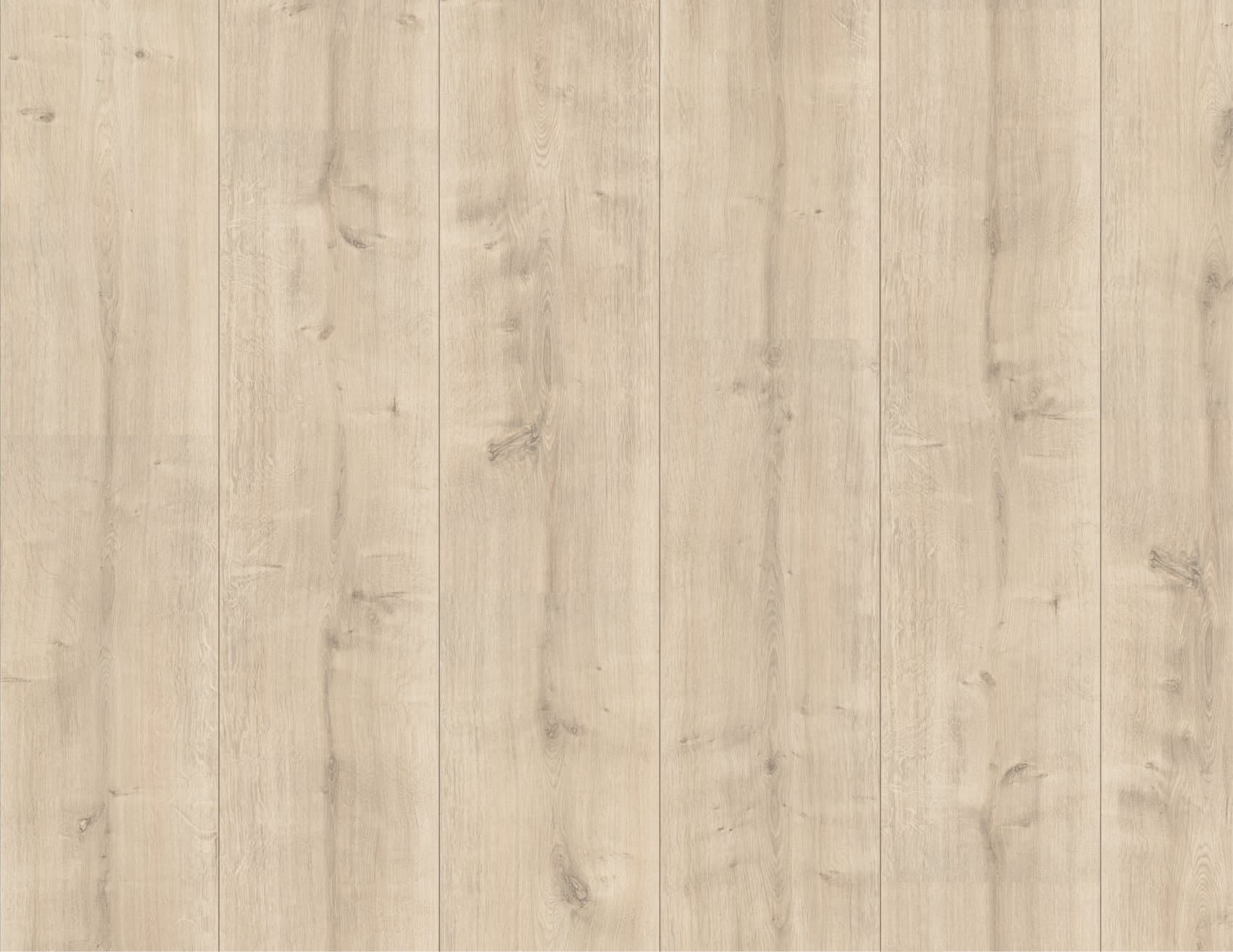 MUSTER Laminat Hamilton Eiche Creme