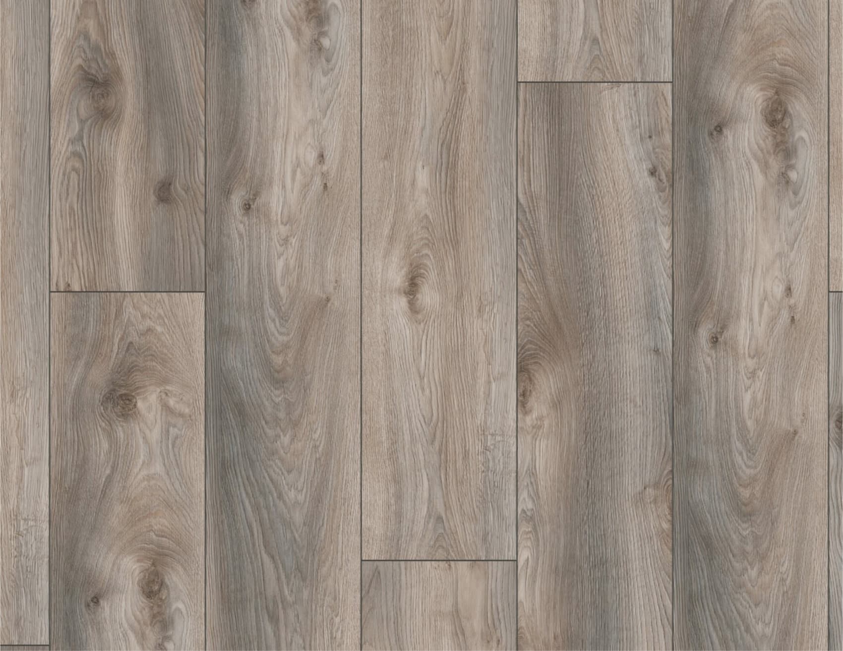 MUSTER Laminat Makro Eiche Grau