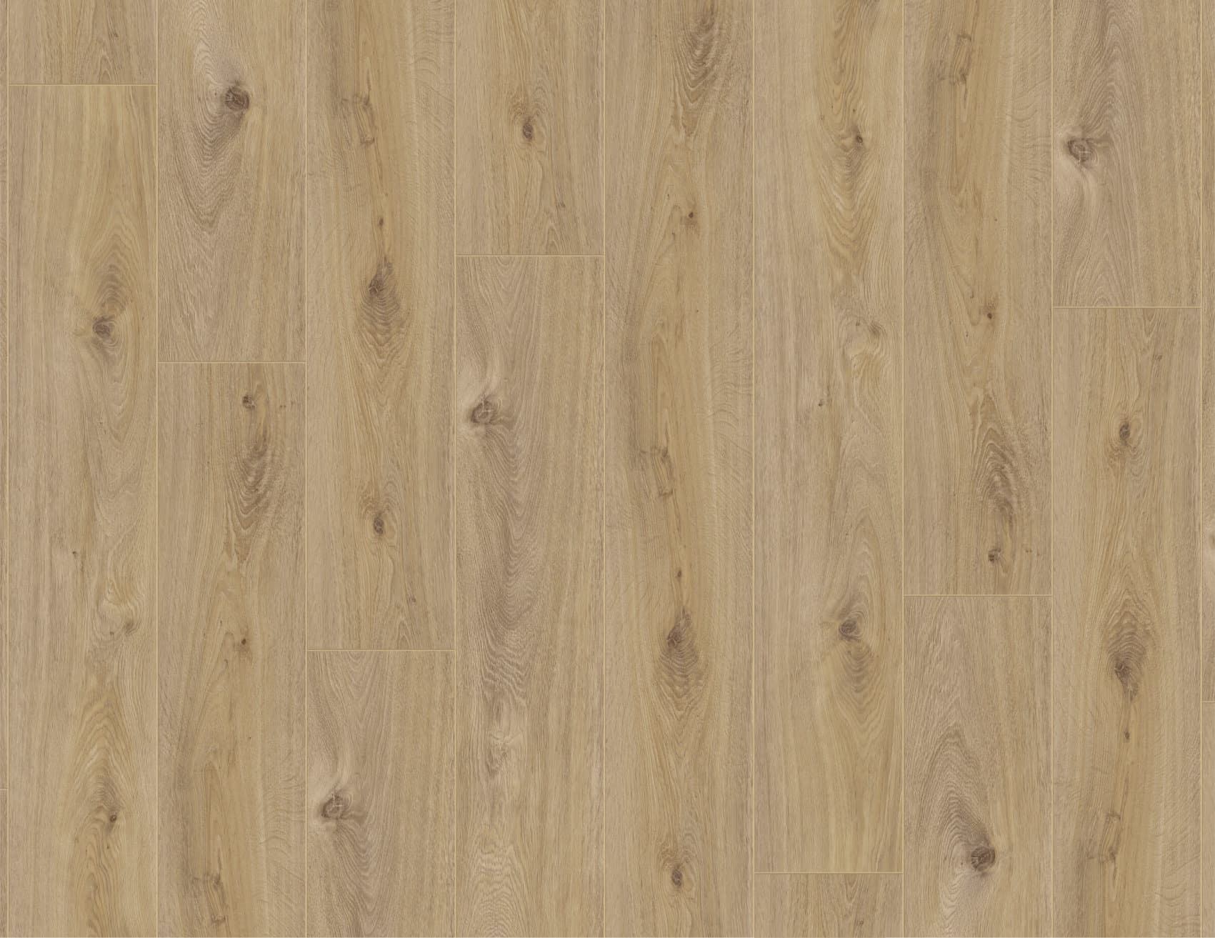 MUSTER Laminat Prestige Eiche Hell