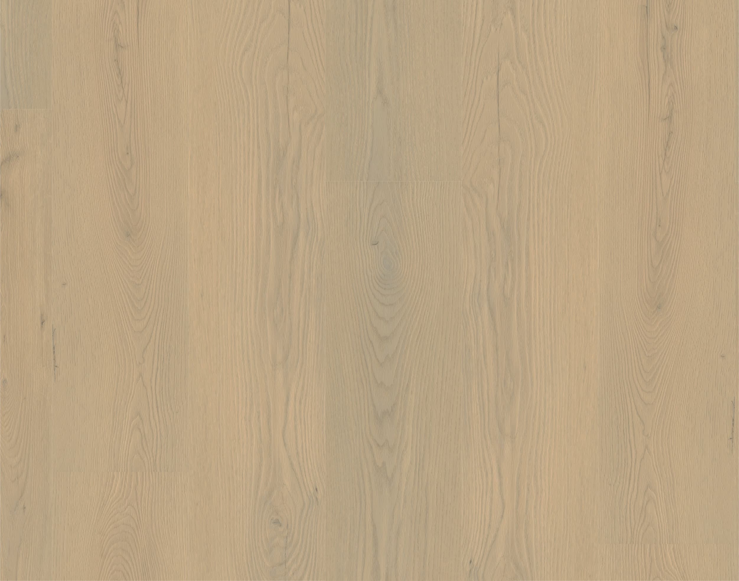 Rigid-Vinyl Authentic Aurelia