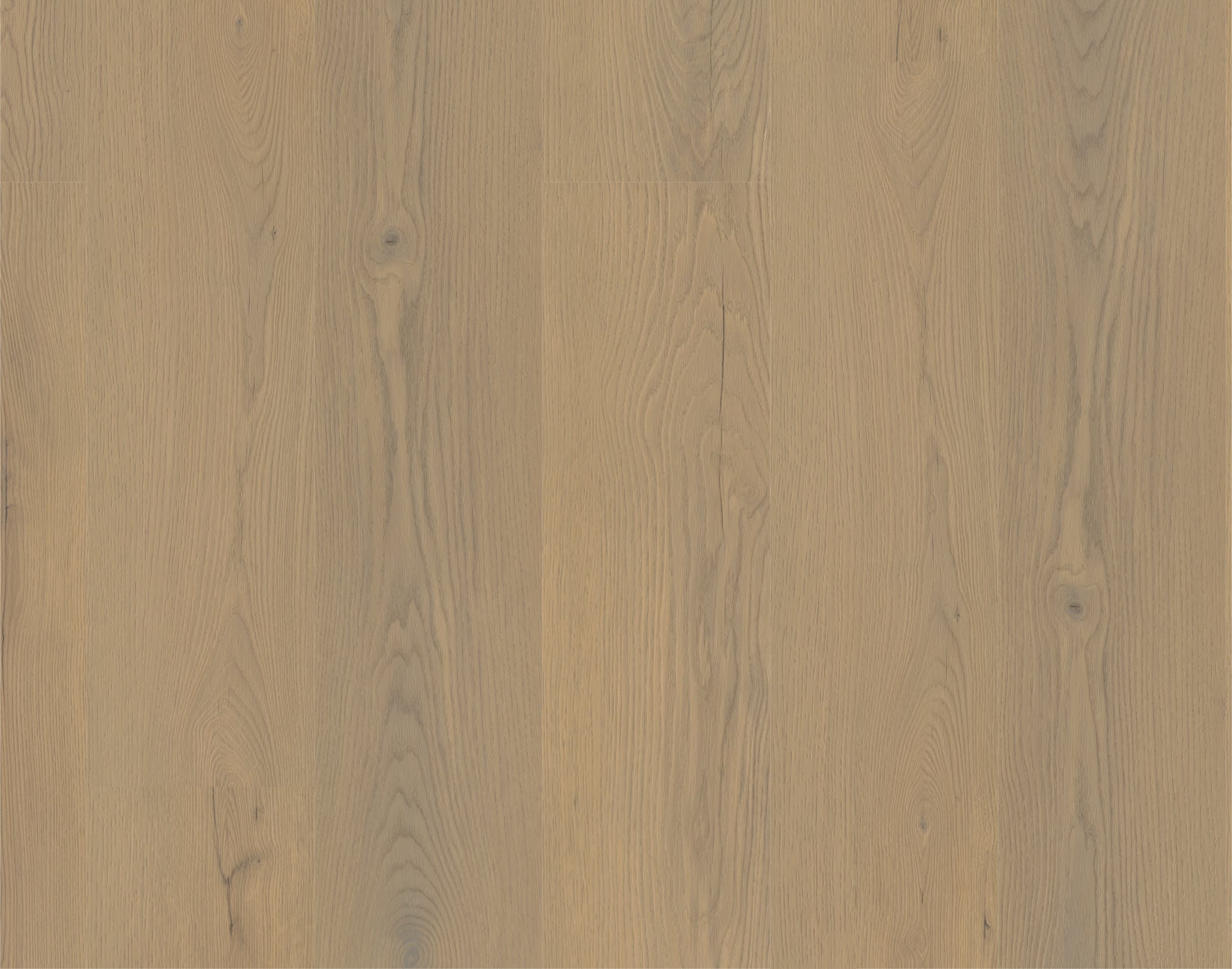 MUSTER Rigid-Vinyl Authentic Ardenne