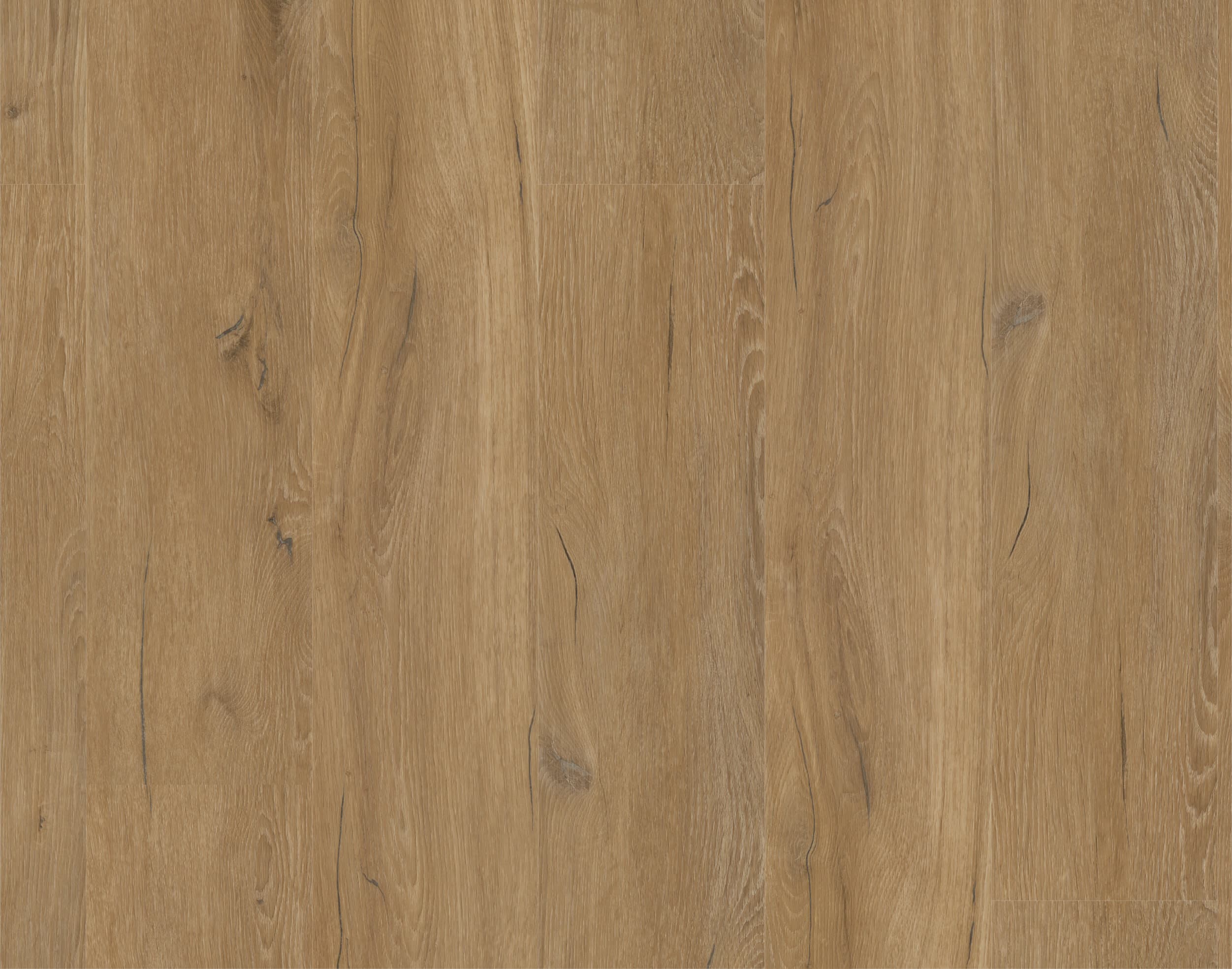 Rigid-Vinyl Pulse Nature