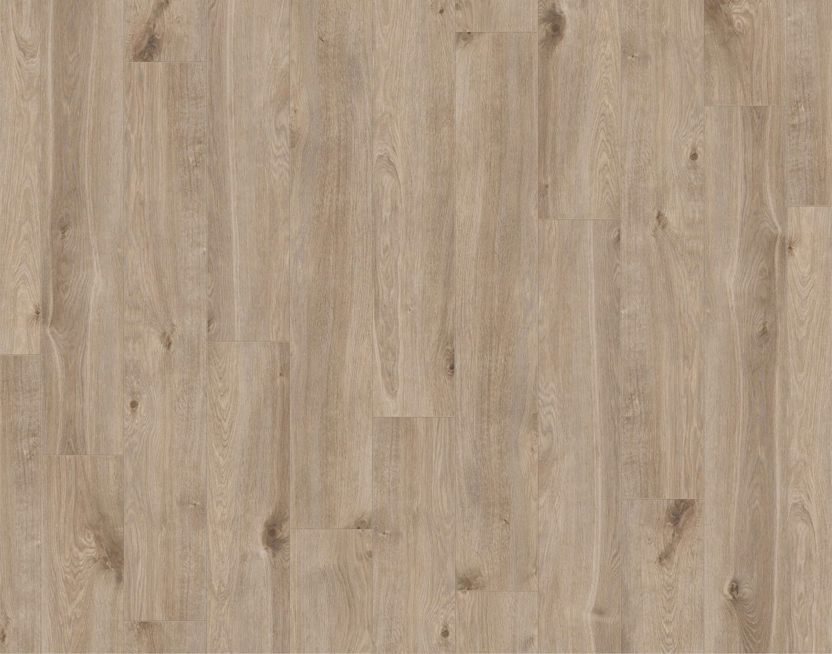Laminat Eurus Oak