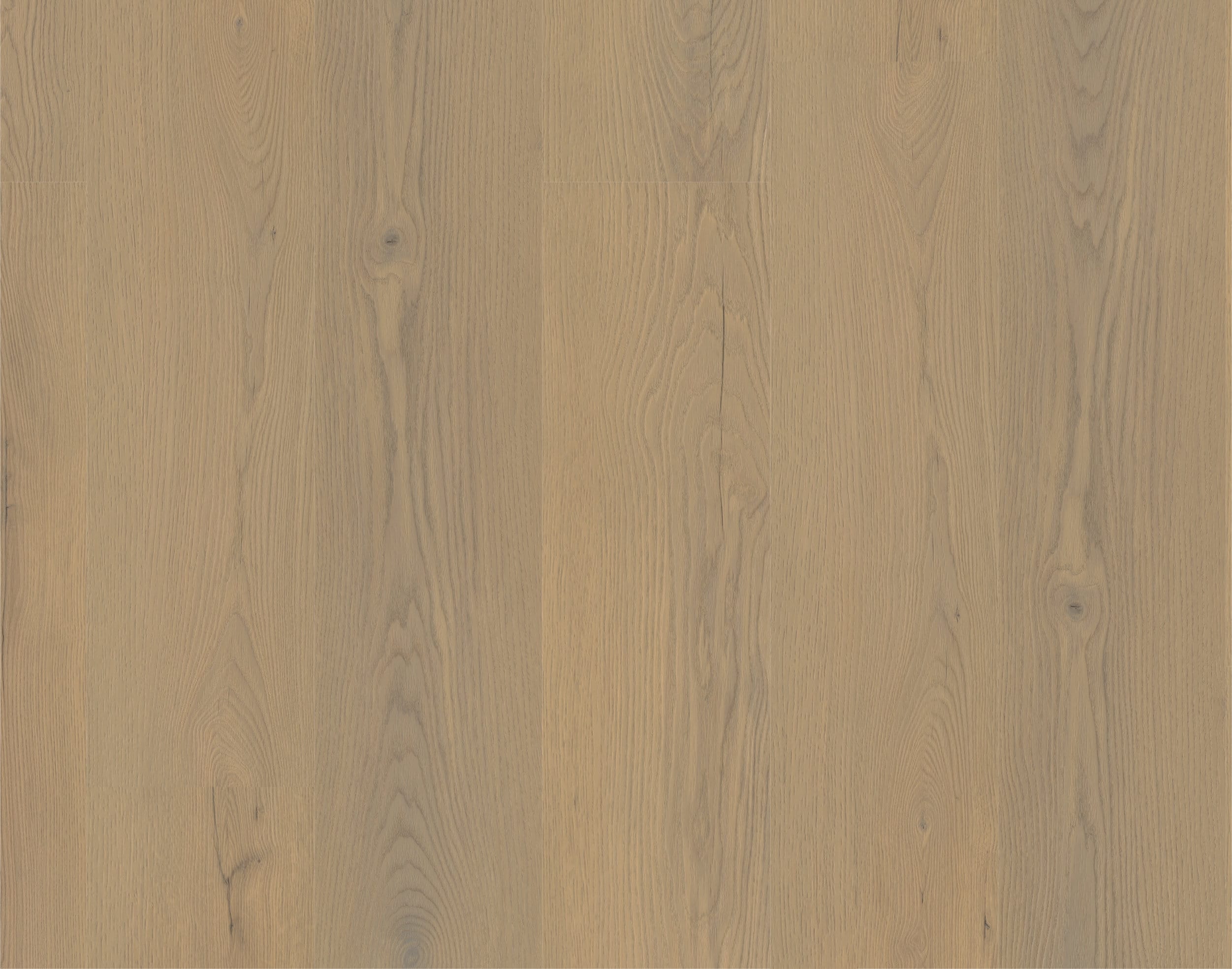 Rigid-Vinyl Authentic Ardenne