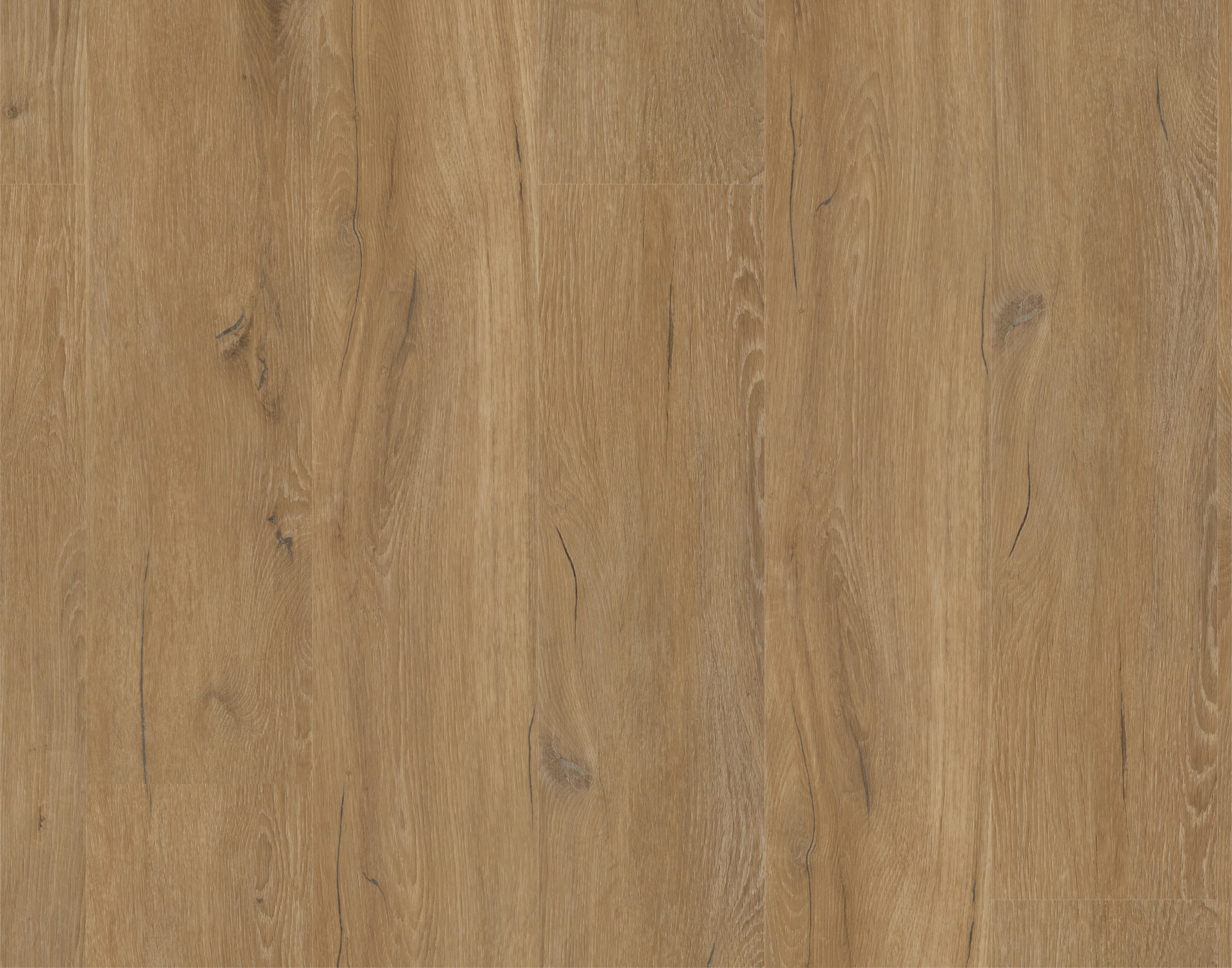 Rigid-Vinyl Pulse Nature