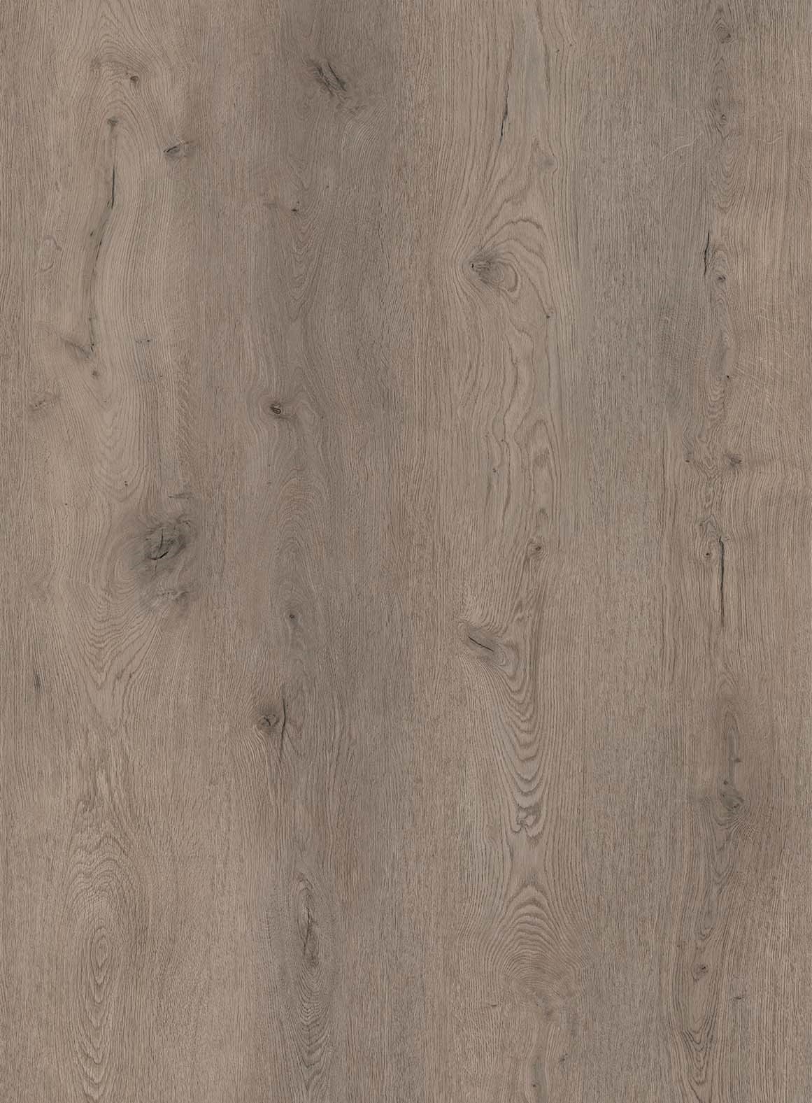 MUSTER Rigid-Vinyl COREtec Belvoir