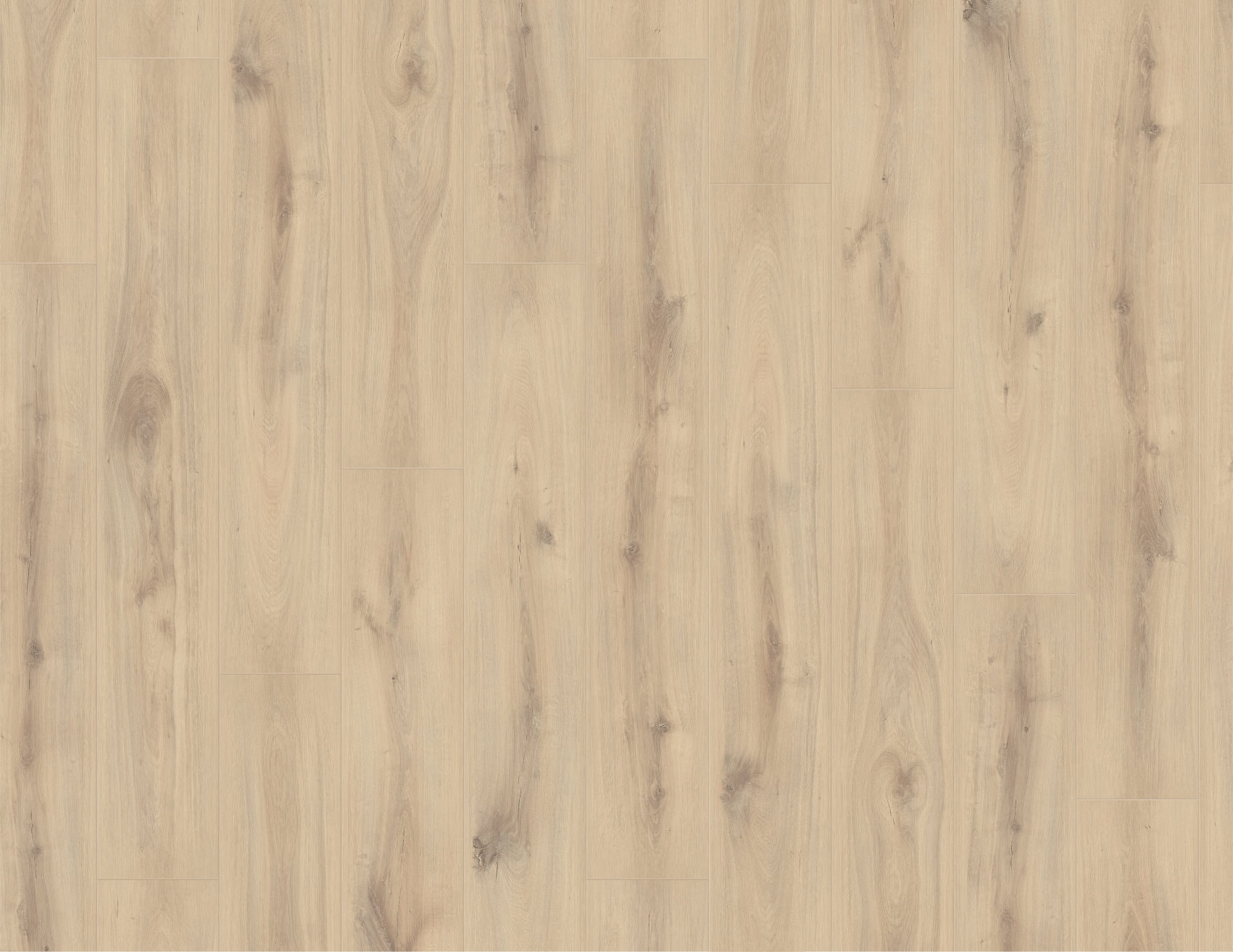MUSTER Laminat Desperados Oak