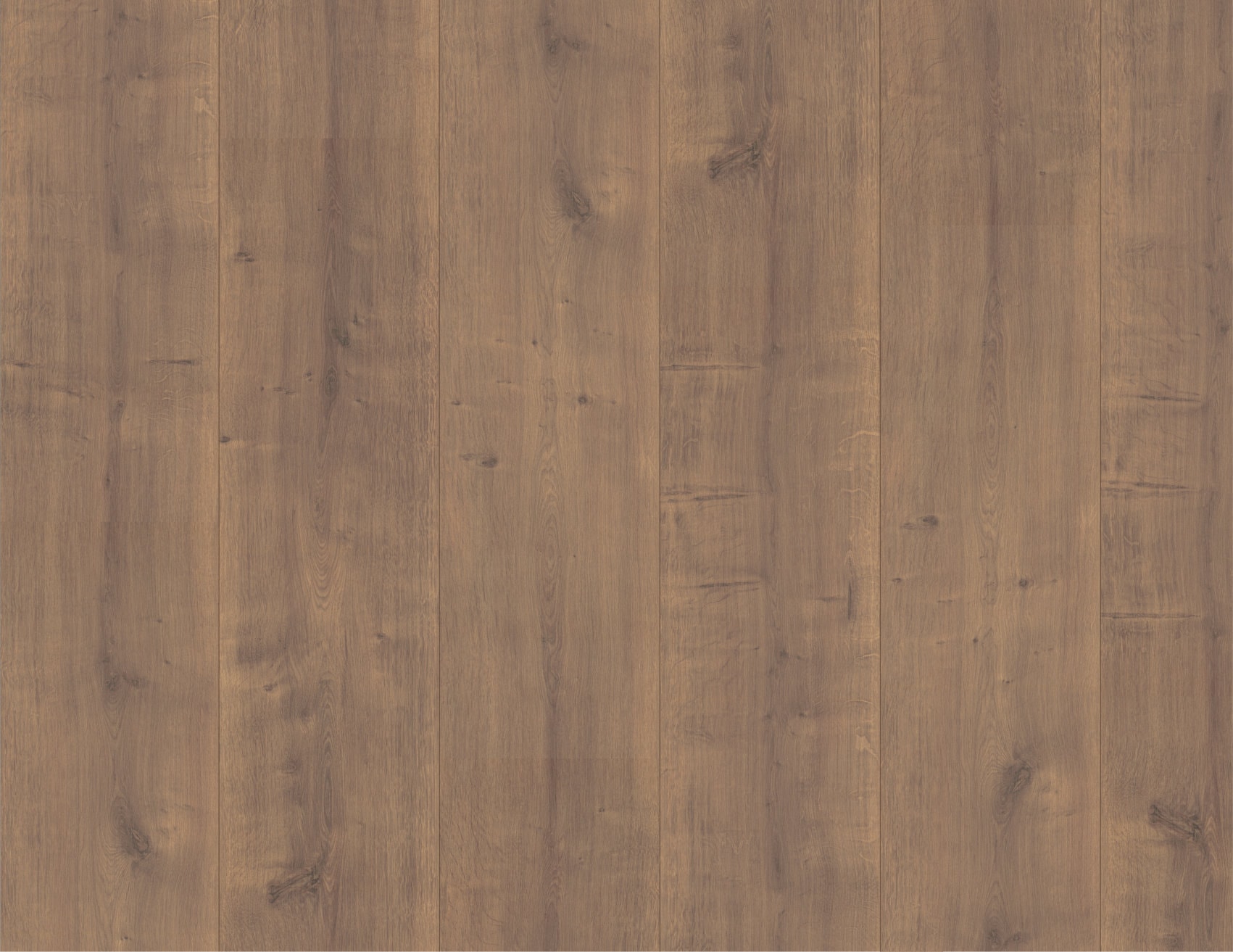 MUSTER Laminat Hamilton Eiche Dunkel