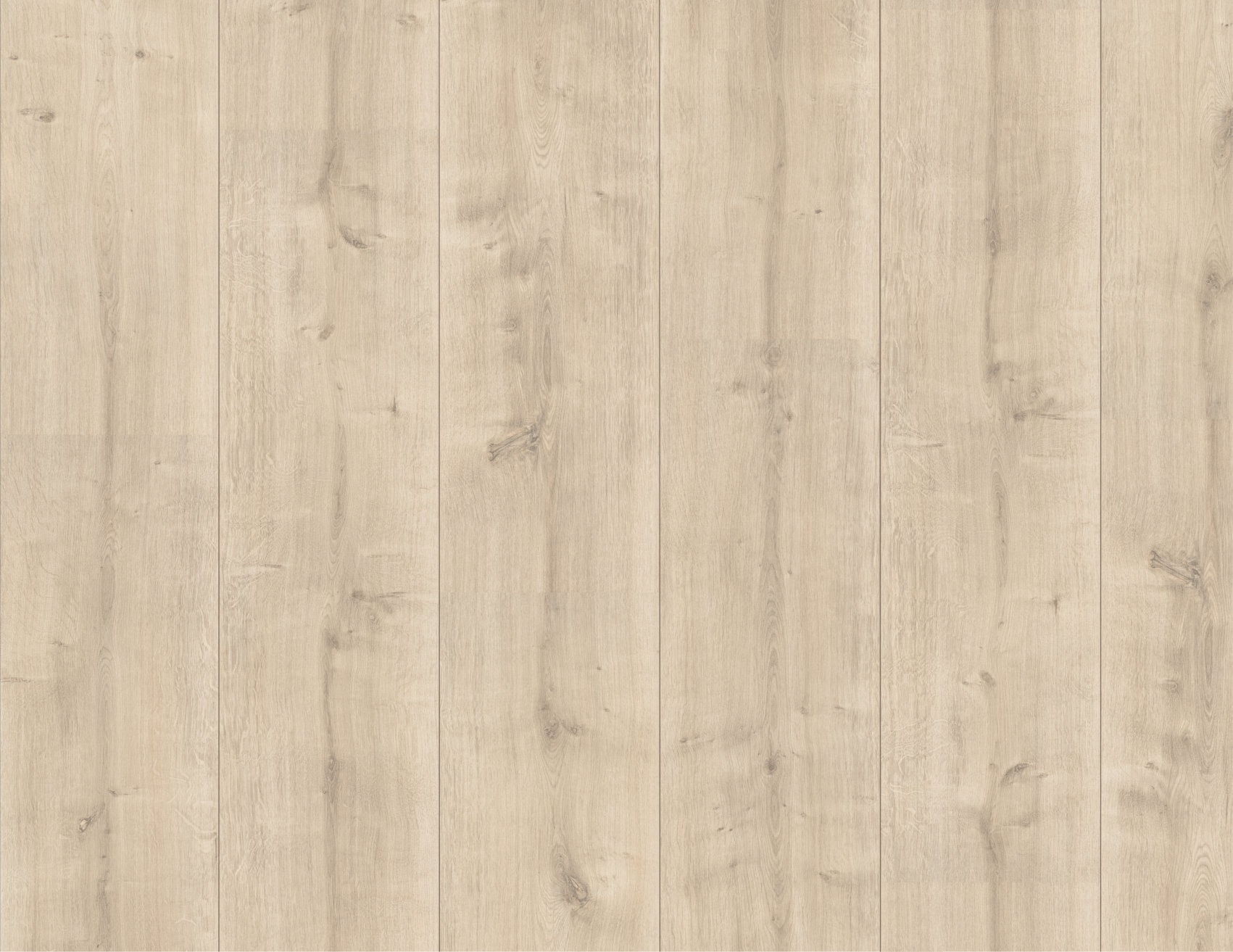 MUSTER Laminat Hamilton Eiche Creme