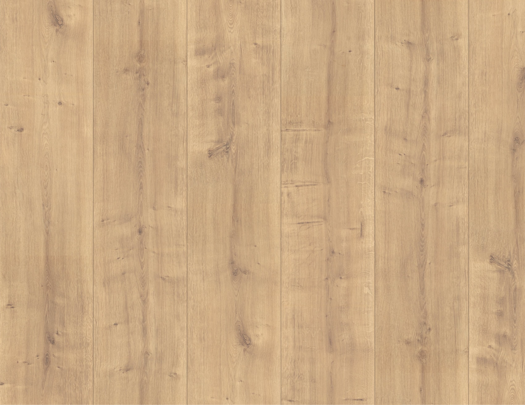 MUSTER Laminat Hamilton Eiche Natur