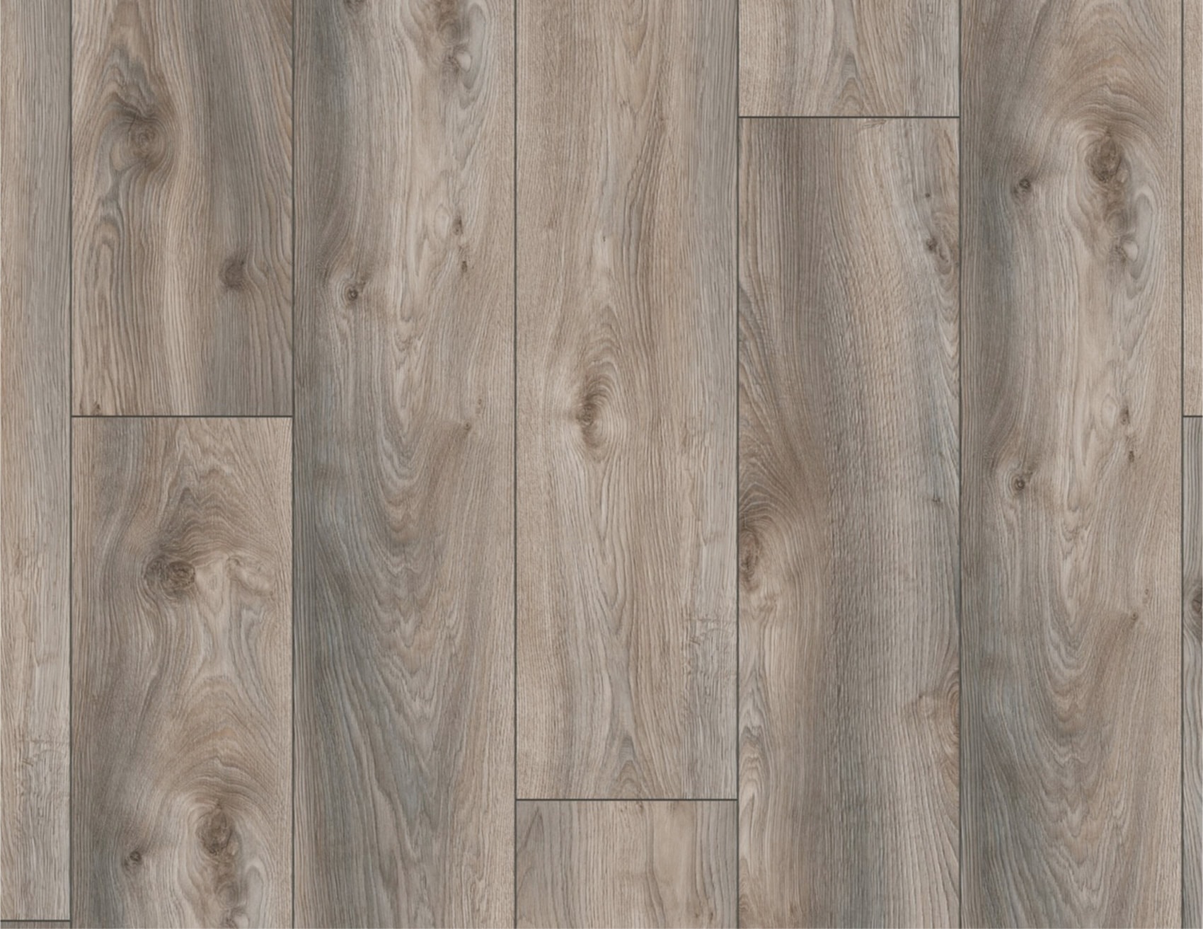 MUSTER Laminat Makro Eiche Grau