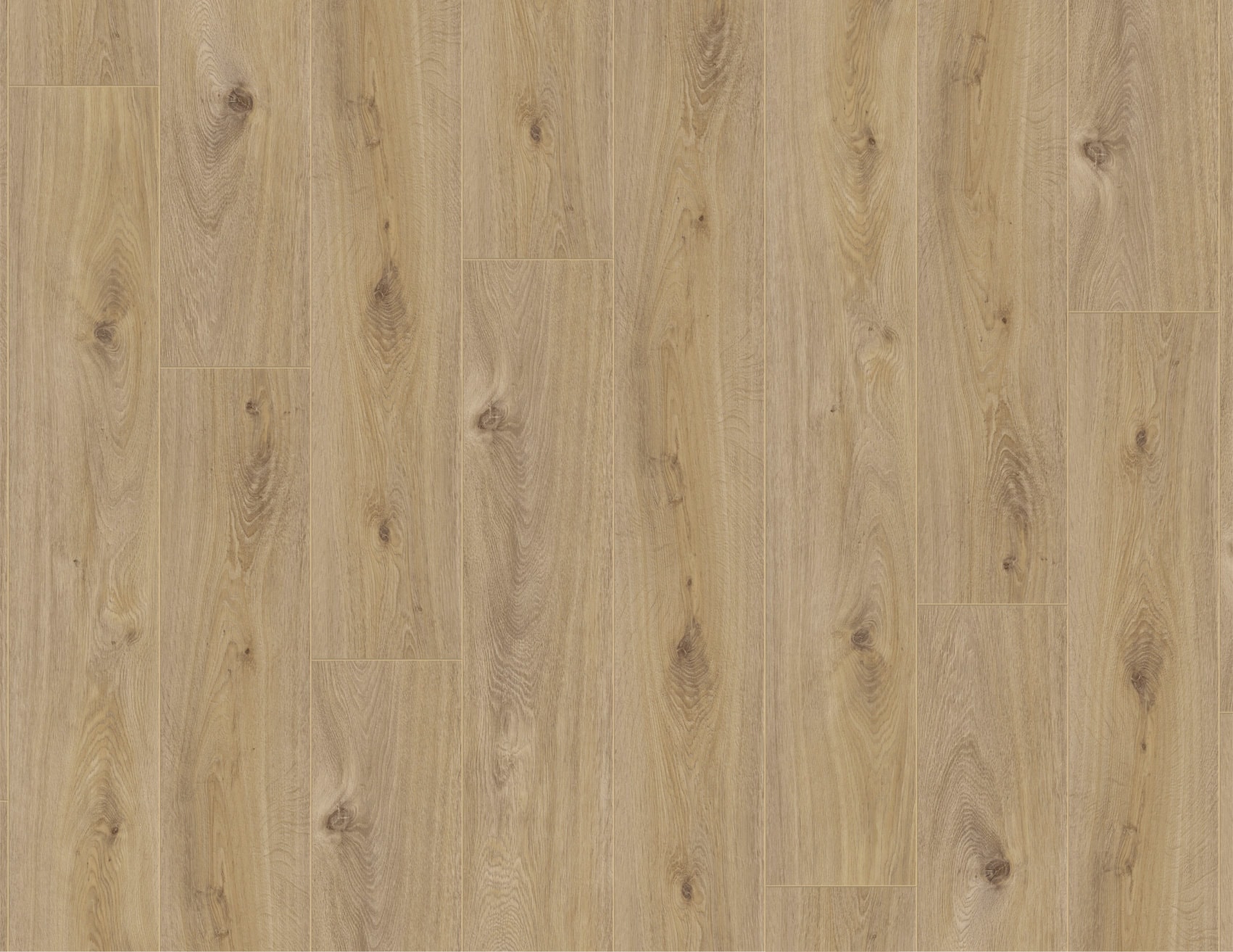 MUSTER Laminat Prestige Eiche Hell