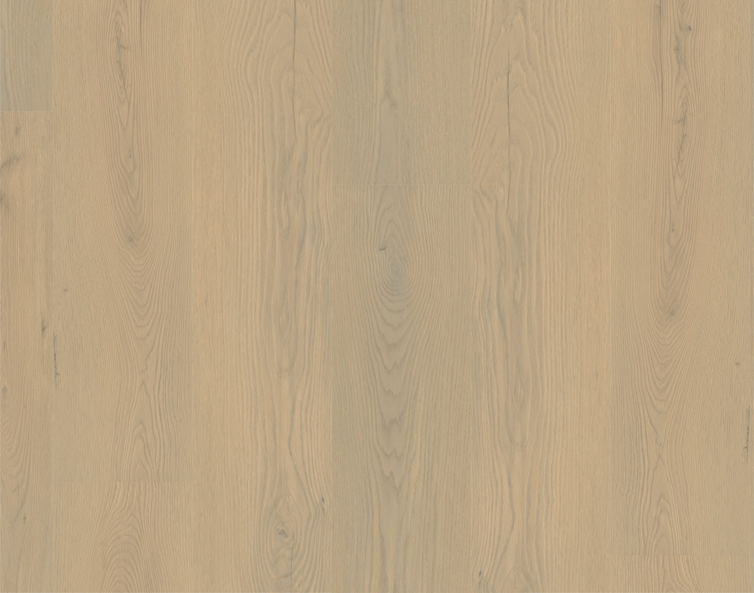 Rigid-Vinyl Authentic Aurelia