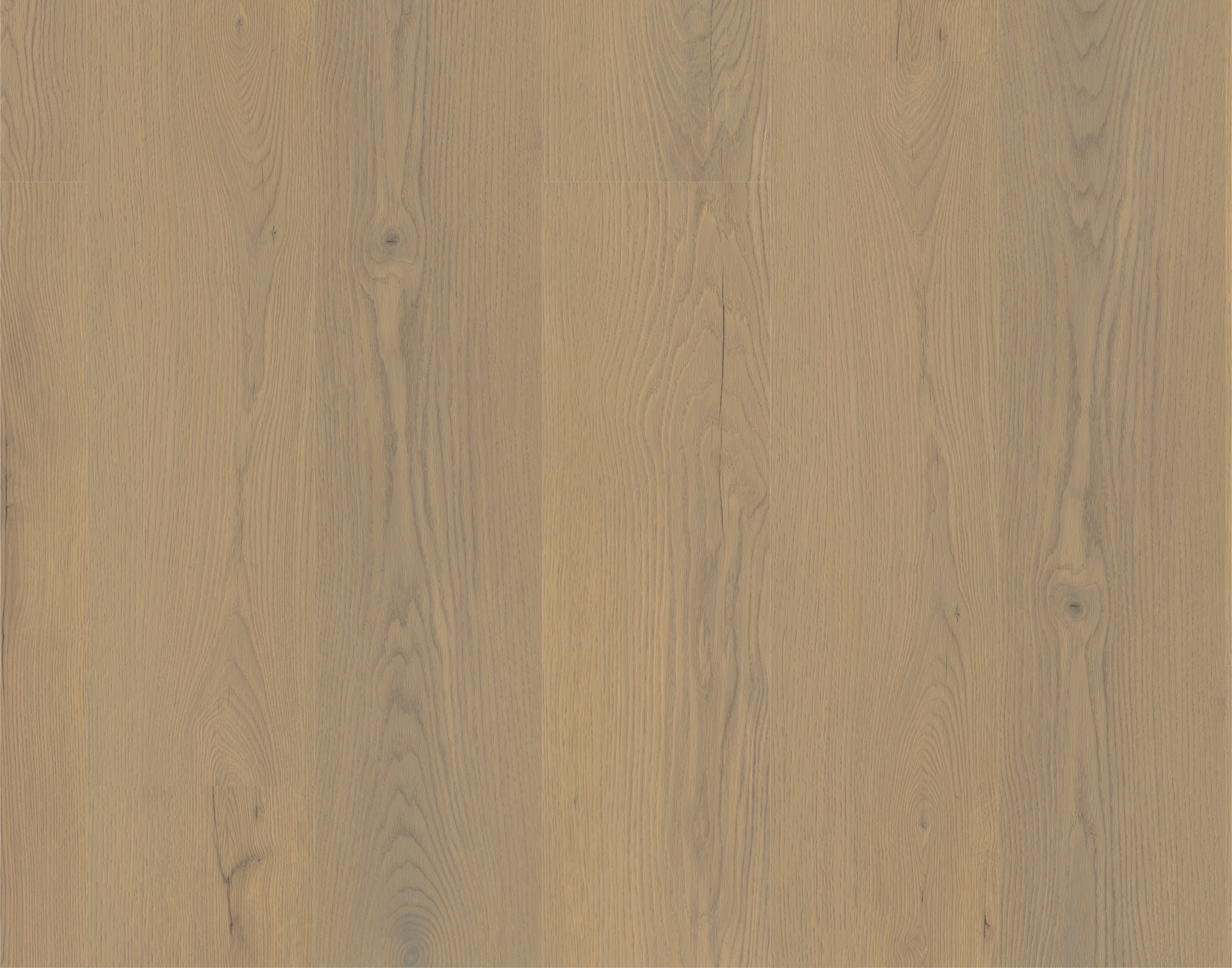 MUSTER Rigid-Vinyl Authentic Ardenne