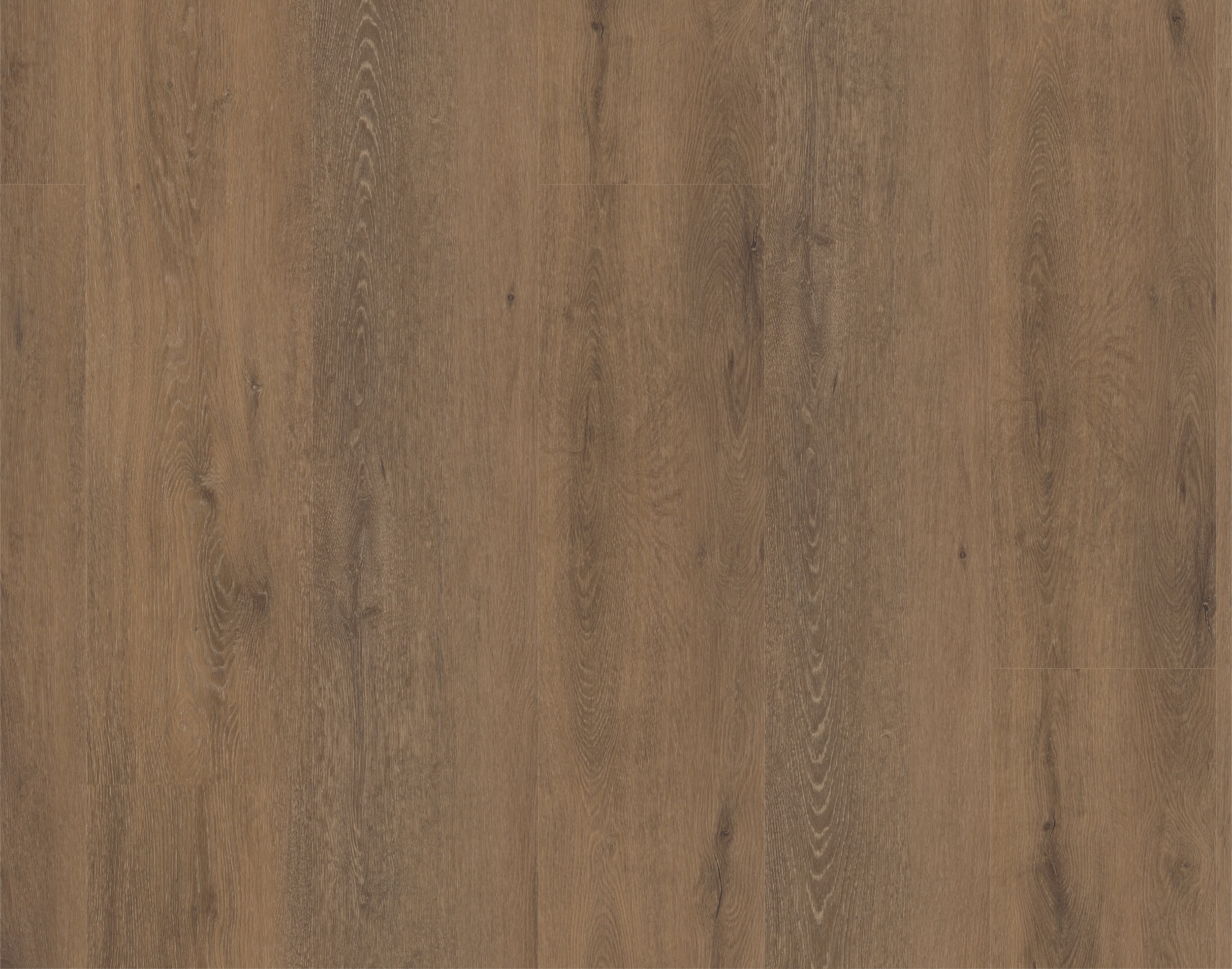 MUSTER Rigid-Vinyl Viva Lunara