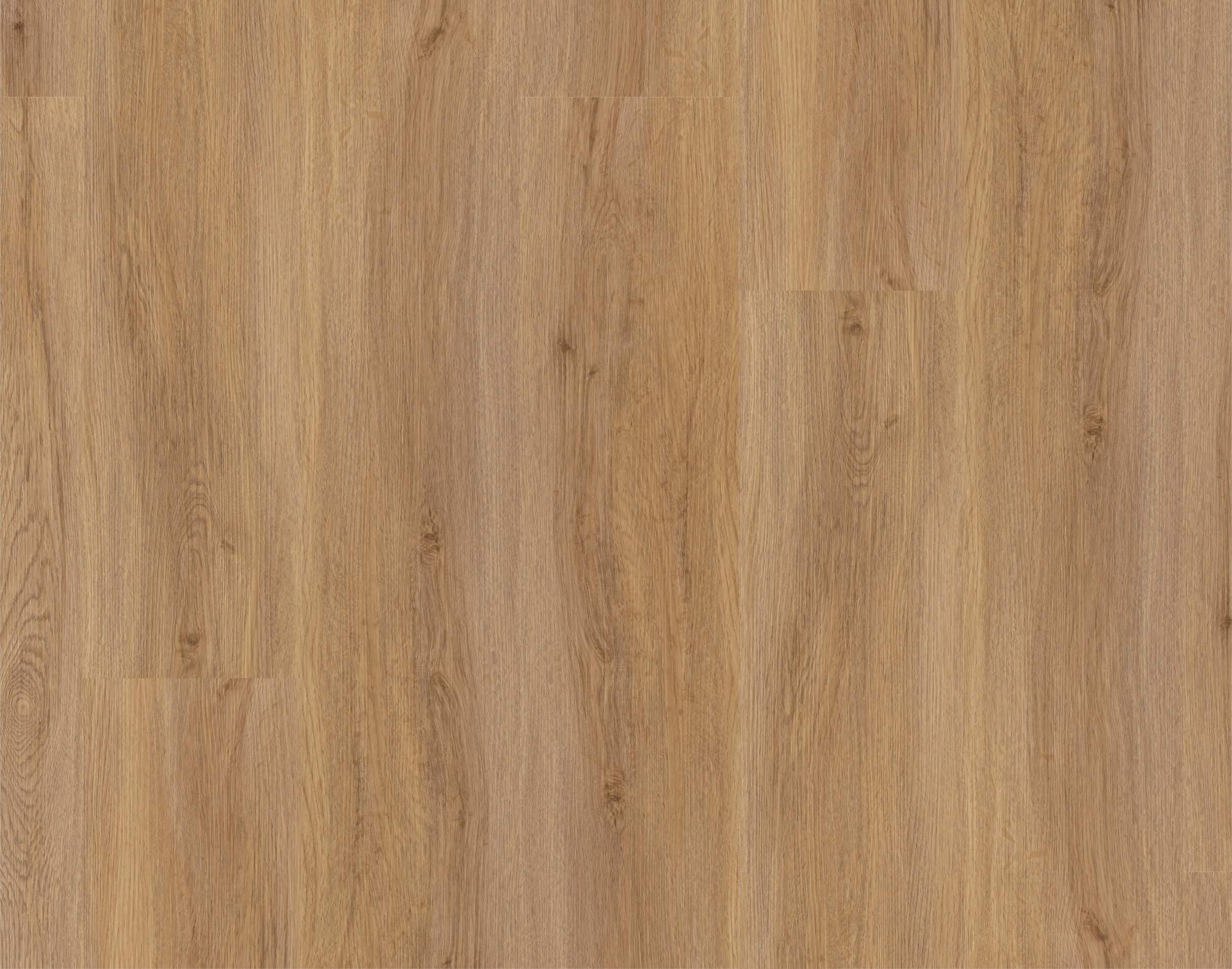 MUSTER Rigid-Vinyl Harmony Oak Natural