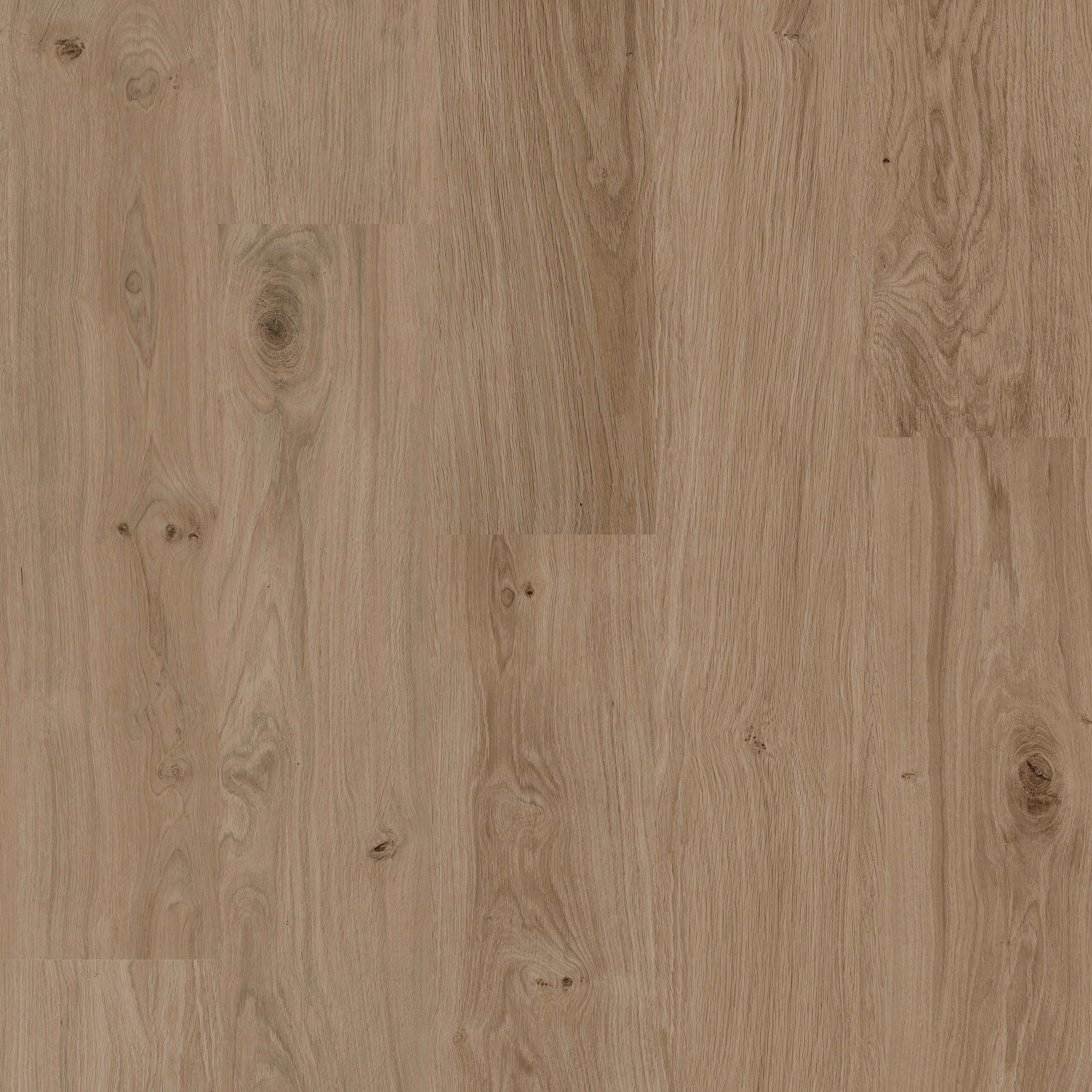 MUSTER Rigid-Vinyl COREtec Richmond