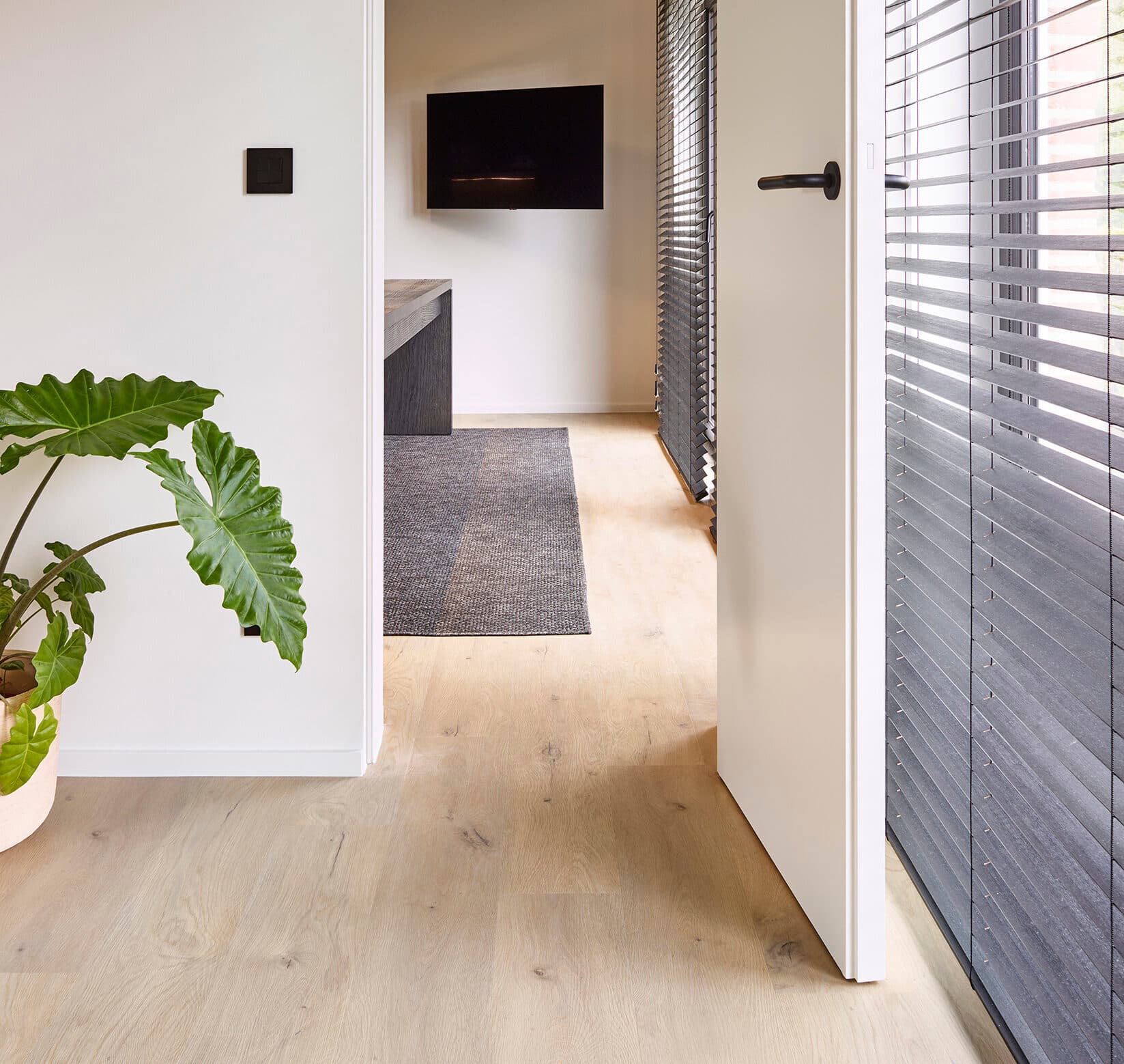Rigid-Vinyl COREtec Forest